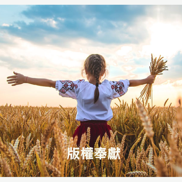 年度版權費用